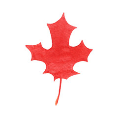 Hand drawn watercolor red marple leaf isolated on white background.  Autumn illustration for greeting cards, wedding invitations, print