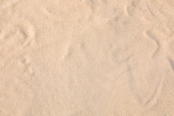 Fototapeta na wymiar Golden beach sand as background, top view