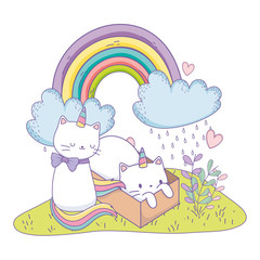 Obraz na płótnie Canvas Unicorn cat cartoon couple vector design