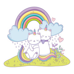 Unicorn cat cartoon couple vector design