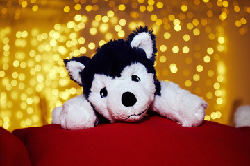 Little toy dog on the background of yellow New Year lights