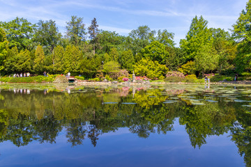 Japanese Garden, Wroclaw