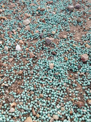 Winter mineral fertilizer of cereals in the agricultural industry. Nitrogen, phosphorus and potassium as nutrients to strengthen the grain. Manure balls spilled accidentally on the rural road to the o