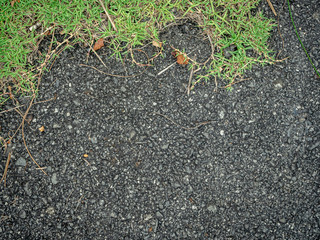 Closeup of the road and green grass