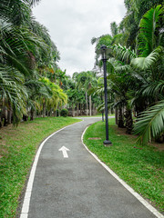 Fototapeta na wymiar Road, walkway and running in the park
