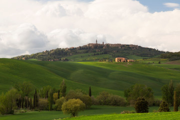 Fototapeta na wymiar Green Hills of Tuscany