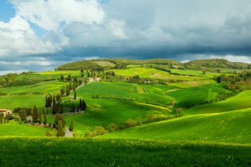 Fototapeta na wymiar Green Hills of Tuscany
