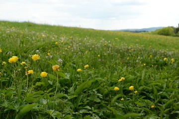 Rhon Mountains, Fulda Germany Countryside