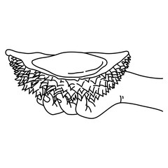 hand holding piece of durian vector illustration sketch doodle hand drawn with black lines isolated on white background