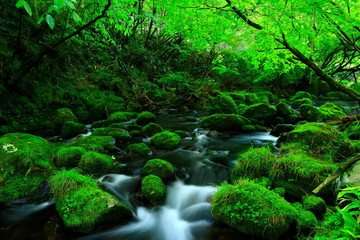夏の元滝伏流水