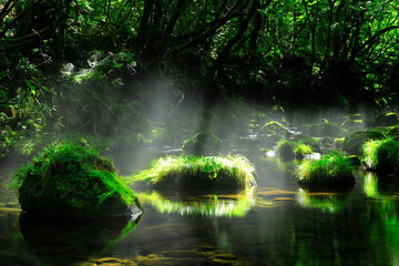 夏の元滝伏流水
