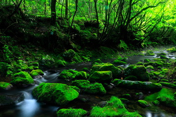 夏の元滝伏流水