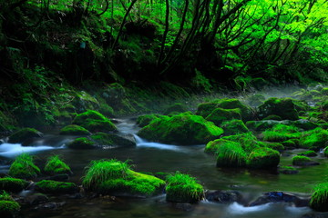 夏の元滝伏流水