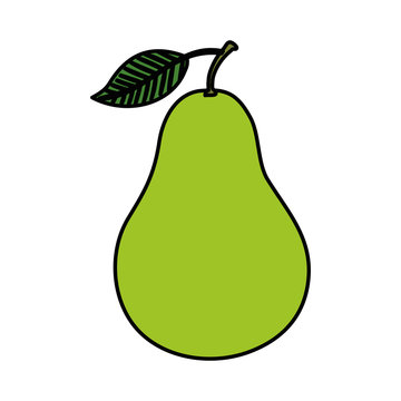 fresh pear fruit nature icon