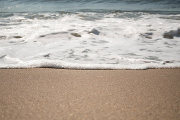 Close-up of Foamy Water Rolling into Shore