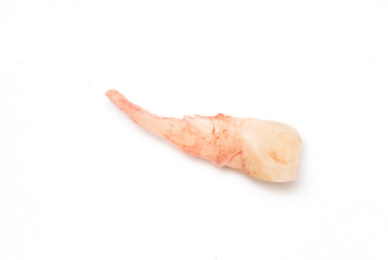 loosing of milk tooth, baby tooth or primary tooth, isolated on white background.