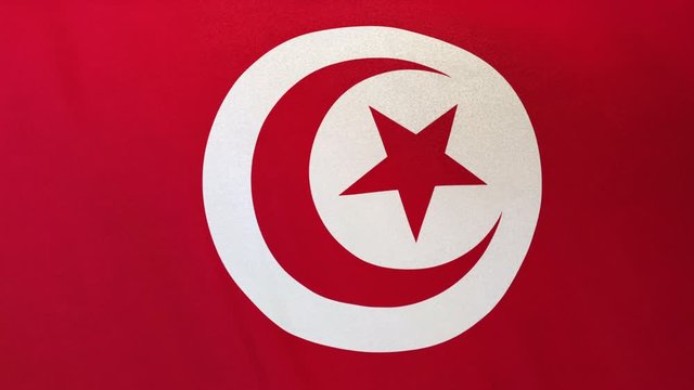 Tunisia national flag seamlessly waving on realistic satin texture 29.97FPS