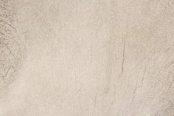 Close-up photography of the bone
