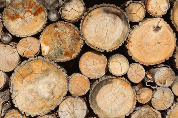 Beautiful old round logs. Front view from the end. Close-up. Background. Texture.