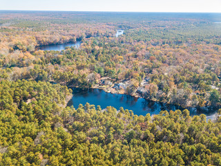 Aerial photo of colored fall forest