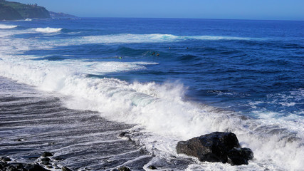 oceanfront and canary islands nature