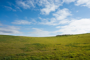 緑の草原と青空