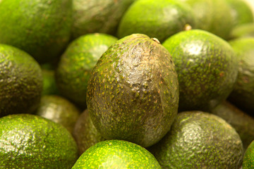 aguacate hass México 