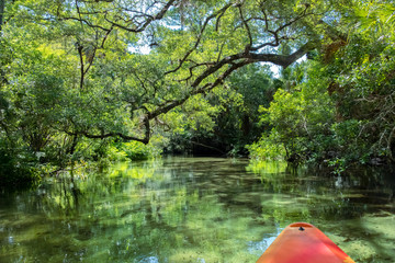 Kayaking on Juniper Springs Creek, Florida