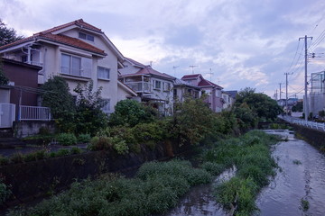 川沿いの日本の住宅街