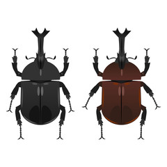 カブトムシ