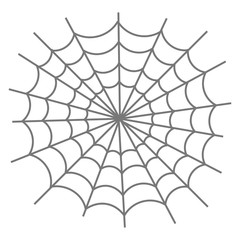 Obraz premium クモの巣