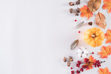 Autumn composition. Orange pumpkin with autumn leaves, red berries, acorn nuts and white cotton head on white background. Flat lay, top view copy space.