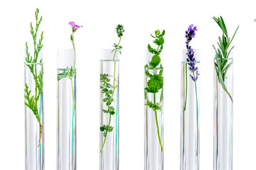 research Concpt on plants, aromatic herbs and flowers in test tubes - obrazy, fototapety, plakaty