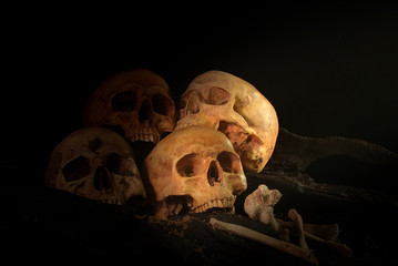 Pile of skulls and bone in dark tone have The light shines on the right side./ Still life and art image..