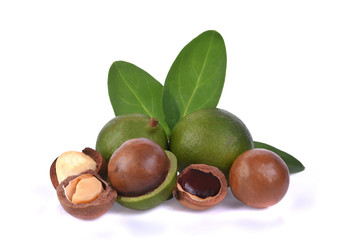 macadamia nuts isolated on white background.
