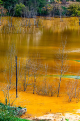 nature pollution from copper mine at lake Geamana, Romania