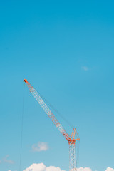 crane