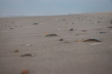 sand at the beach