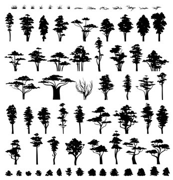 Trees silhouettes isolated on white background. Nature trees. Grass and bushes . Collection vegetation trees bushes and grass .