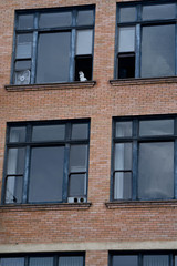 white cat sitting out of an apartment window