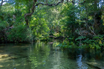 Juniper Springs Creek, Florida	