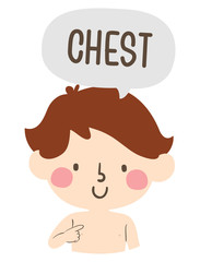 Kid Boy Naming Body Parts Chest Illustration