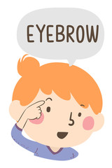 Kid Girl Naming Body Parts Eyebrow Illustration