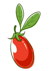 Goji Berry Superfood