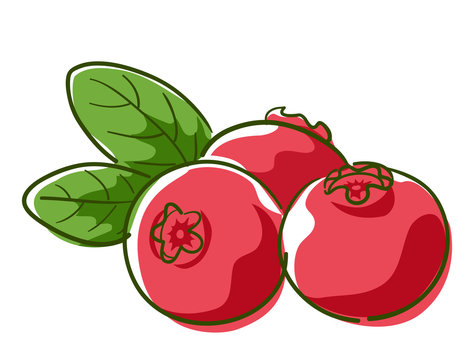red berries with green leaves clip art preview