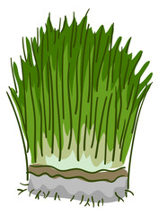 Wheatgrass Superfood Illustration