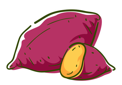 Sweet Potato Cartoon Bilder – Durchsuchen 6,458 Archivfotos, Vektorgrafiken  und Videos | Adobe Stock