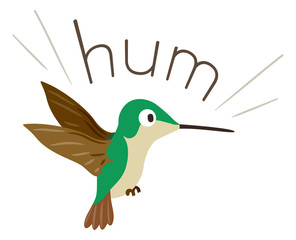 Hummingbird Sound Hum Illustration