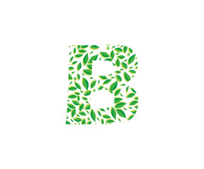 Letter B Leaves Nature Icon Vector Logo, green leaves and B Letter Logo 