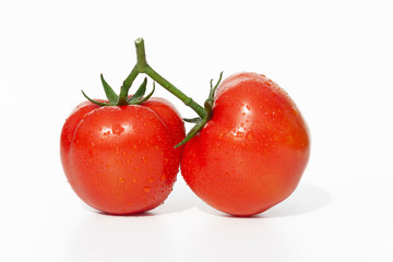 two tomatoes with drops of moisture on a twig on a white background